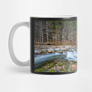 River flowing through mountain Mug